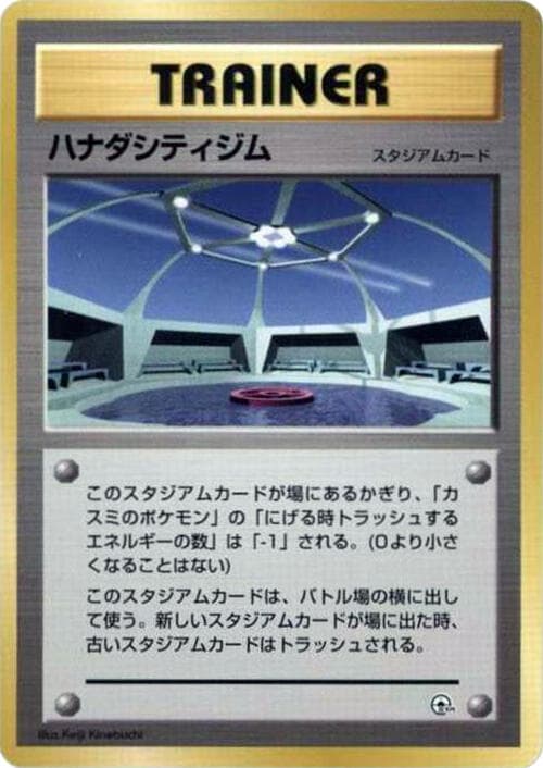 Cerulean City Gym