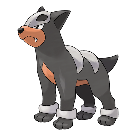 Houndour — official artwork
