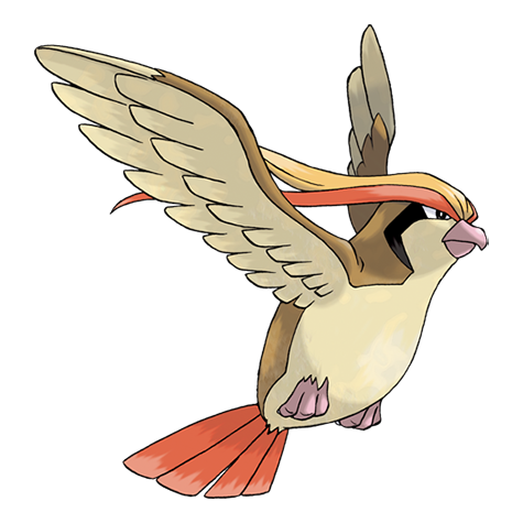 Pidgeot — official artwork
