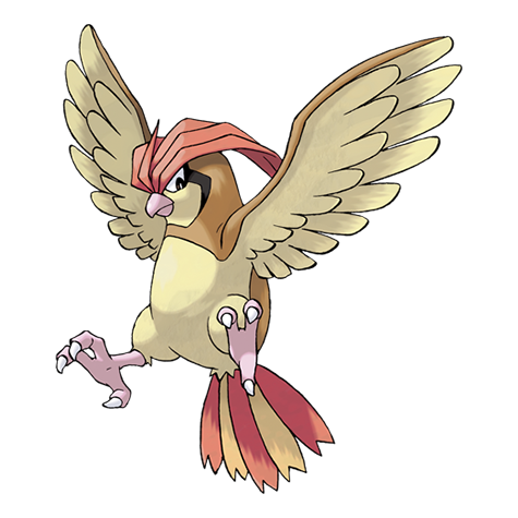 Pidgeotto — official artwork