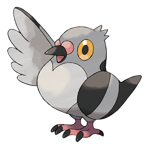 Pidove — official artwork