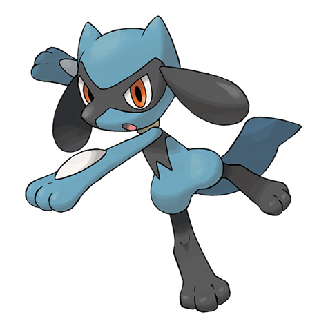 Riolu — official artwork