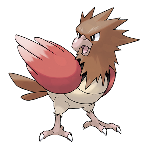 Spearow — official artwork