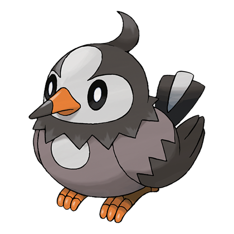 Starly — official artwork