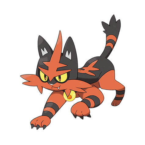 Torracat — official artwork